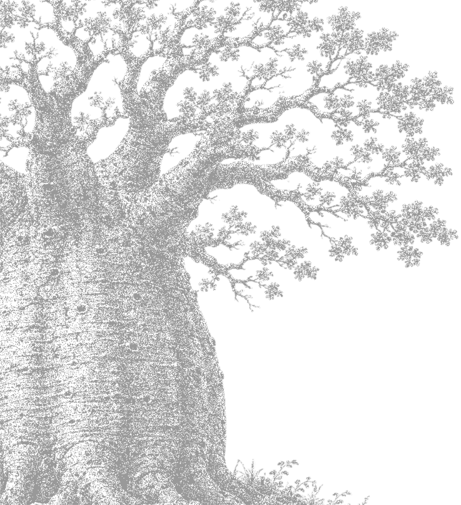 Hand-drawn tree illustration