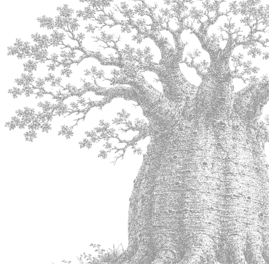 Hand-drawn tree illustration