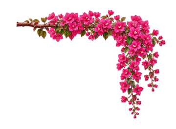 Hand-drawn flower branch illustration